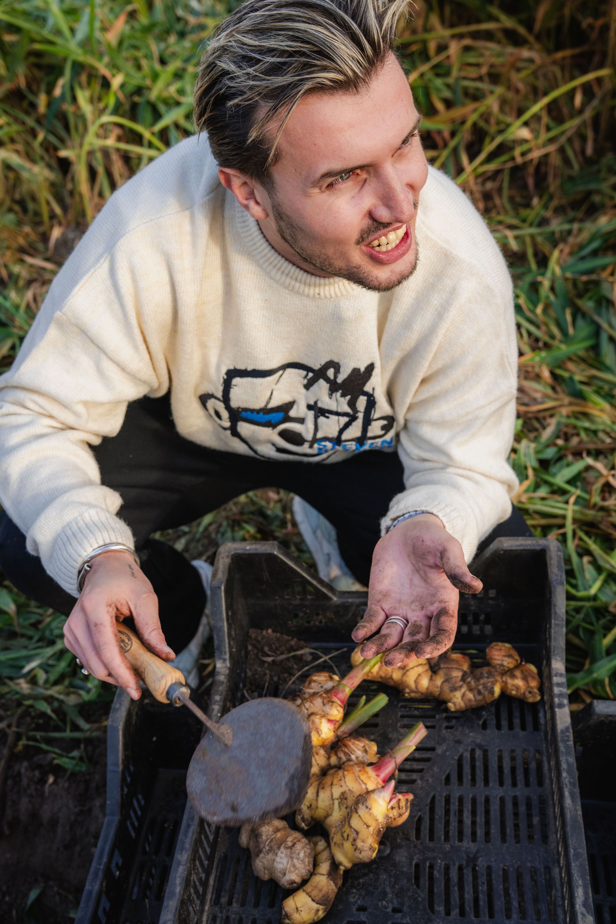 Hands holding freshly harvested ginger roots over a black crate outdoors with grass in the background